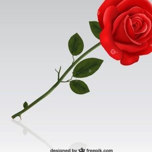 Meet your Posher, Gabby